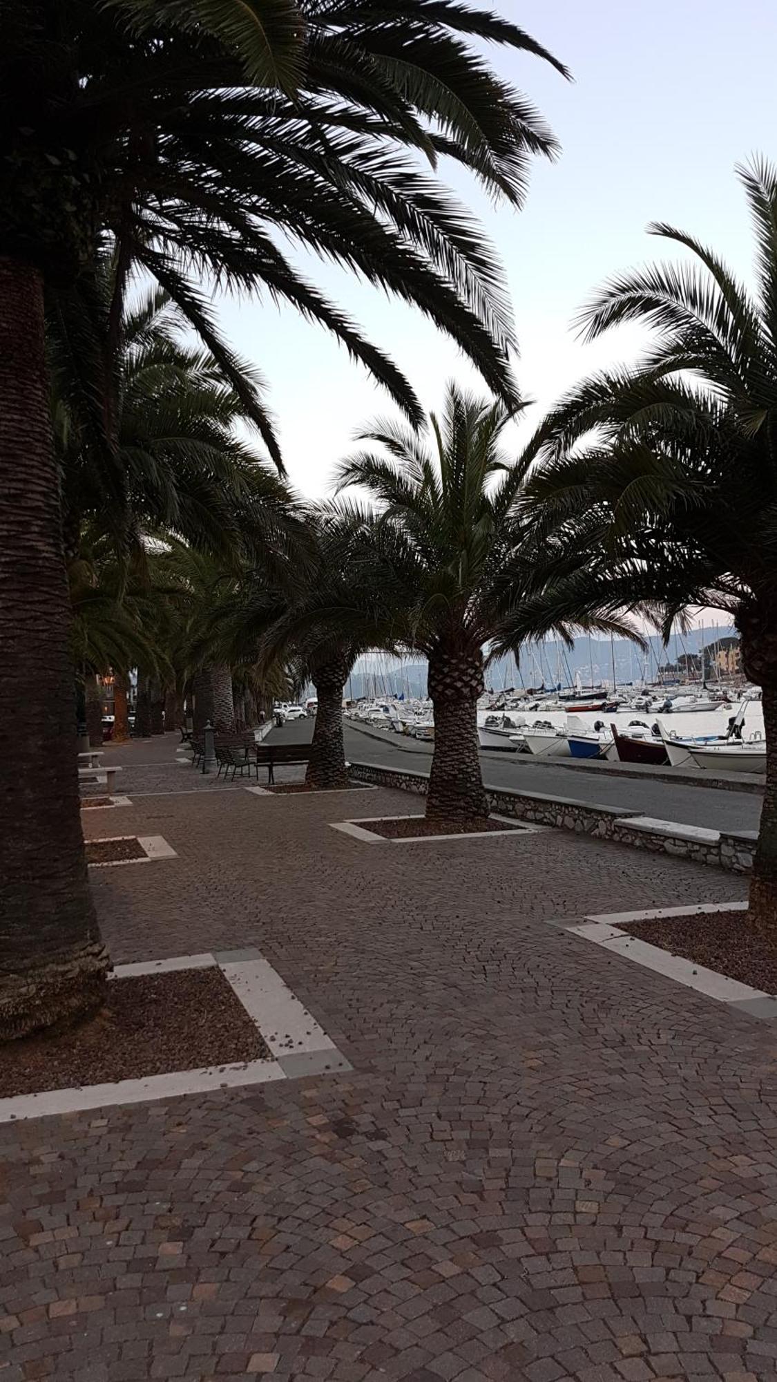 Ferienwohnung La Stanzetta Dei Rosa Porto Venere Exterior foto